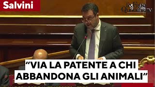 Salvini quotSospensione o revoca della patente per chi abbandona animali domesticiquot [upl. by Fineberg487]