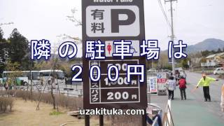 「白糸の滝」（Ｐ200円）静岡県【観光】幅200㍍！日本最大幅の滝！ [upl. by Oludoet]