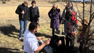 2012 Truffle Festival  Limestones Farm hunt [upl. by Tamsky511]