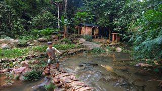 2 years living in forest build pond raise school of carp Harvesting amp catching fish after 1 year [upl. by Trebleda]