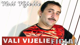 VALI VIJELIE  Te iubesc te iubesc OFICIAL AUDIO TRACK [upl. by Hales]