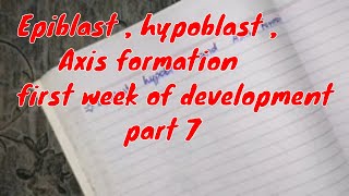 Epiblast Hypoblast Axis formation first week of development part 7 embryology [upl. by Yllen176]