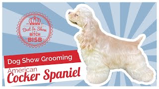 Dog Show Grooming How to Groom an American Cocker Spaniel [upl. by Oirobil6]