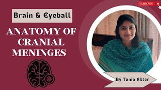 Anatomy of Cranial Meninges  Bangla Demonstration of Cranial Meninges  Viscera of Meninges [upl. by Nepean]