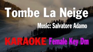 Tombe La Neige  Karaoke Female Key Em [upl. by Litha327]