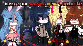 Reincarnated As The WOLVES Only BUNNY Soulmate  GCMM  Gacha Club Movie   Original   Part 1 [upl. by Blen]