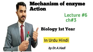 Mechanism of enzyme action Lec 6 Ch3 Bio 1 Lock and key model and induced fit model [upl. by Mackenzie]