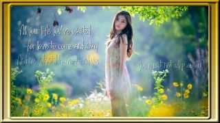 Goodbye Girl  HD  David Gates  Lyrics [upl. by Einittirb]