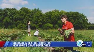 Chris Gerling speaks on the next big thing for the craft beverage industry [upl. by Rehpotsirk148]