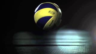 FIVB Heroes  2011 World League Finals [upl. by Burr]