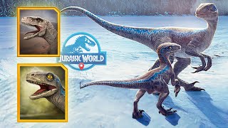 ATROCIRAPTOR BETA LA HIJA DE BLUE Y MAS Los nuevos dinosaurios de Dominion en Jurassic World Alive [upl. by Nitin]