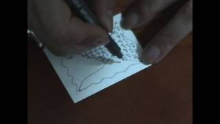 ZENTANGLE PARA TRABAJADORESAS SOCIALES [upl. by Hasin]