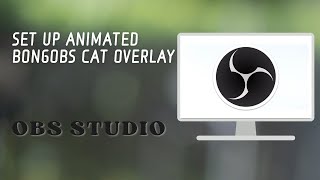 Set Up Animated Bongobs Cat Overlay in OBS [upl. by Obelia]