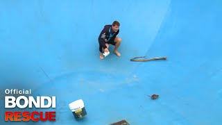 The Rat Rescue  Bondi Rescue S8 E7 [upl. by Kelwin]