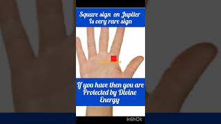 Do you have square sign on your palm palmistry vastu reels [upl. by Wearing]