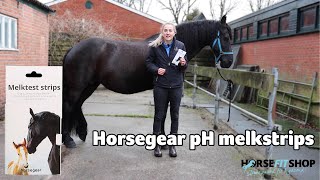 Wanneer komt het veulen  Horsegear pH Melkstrips  Vlog 1  HorseFitShop [upl. by Assilac]