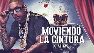 MOVIENDO LA CINTURA  DJ ALITAS FT ÑENGO FLOW ESTRENO RG4L 2018 [upl. by Turne593]