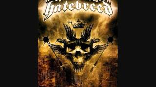 03 Hatebreed  A Call for Blood Live DOMINANCE [upl. by Eetsim406]