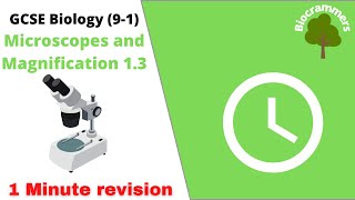 GCSE Biology 91 Microscopes and Magnification EdexcelAQAOCR [upl. by Idram]