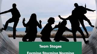 Forming Storming Norming Performing Adjourning [upl. by Good]