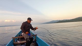 METAL JIG SAYA DI BAWA KABUR 🔥‼️vlog mancingalifuru fishing [upl. by Norrahs]