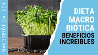 NUTRICIÓN Macrobiótica🌱 5 BENEFICIOS Para Vida HOLÍSTICA [upl. by Ardys350]