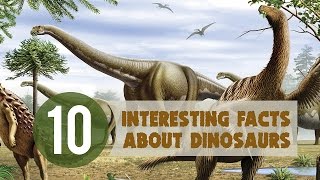 10 Interesting Facts about Dinosaurs [upl. by Ekul719]