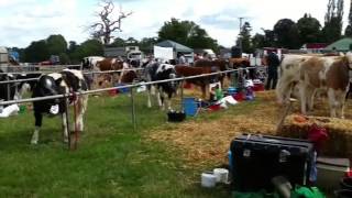 Oswestry show 3rd August 2013 [upl. by Clava]