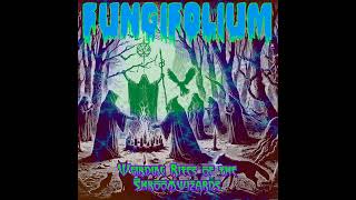 Fungifolium  Weirding Rites of the Shroomwizards 2024 kellersynth schizosynth tanzelcore [upl. by Anilram432]