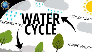 Water Cycle  How the Hydrologic Cycle Works [upl. by Anaynek]