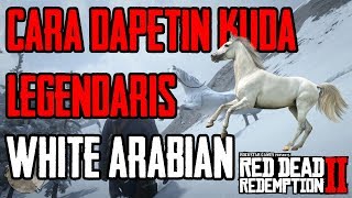 TUTORIAL MENDAPATKAN KUDA LEGENDARIS quotWHITE ARABIANquot DI RED DEAD REDEMPTION 2 [upl. by Nnaylloh]