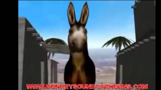 Donkey Braying Hee Haw Sounds Car Horn [upl. by Arratoon847]