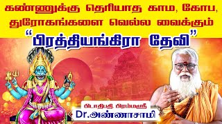 சரப வடிவில் நரசிம்மரின் உக்கிரத்தை விழுங்கிய பிரத்யங்கிரா தேவி [upl. by Gauldin825]