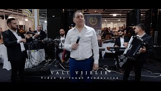 Vali Vijelie II Regina din Maroc II LIVE 2019 [upl. by Harle]