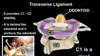 Cervical Spine Trauma  Everything You Need To Know  Dr Nabil Ebraheim [upl. by Odlauso]