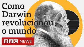 O que é a teoria da evolução de Charles Darwin e o que inspirou suas ideias revolucionárias [upl. by Milak15]