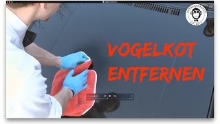 Anleitung Vogelkot entfernen  Autopflege 16 [upl. by Hermia291]