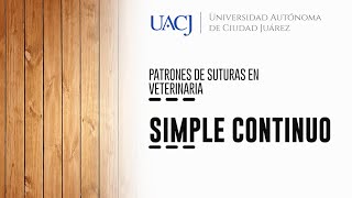 Patrones de sutura en veterinaria Simple Continuo 1 [upl. by Oisangi362]