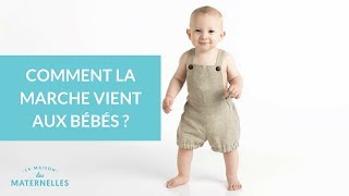 Comment la marche vient aux bébés   La Maison des Maternelles LMDM [upl. by Xela]