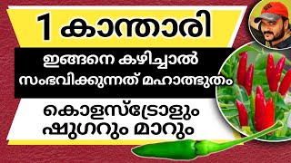 കൊളസ്ട്രോളും ഷുഗറും മാറ്റാൻ 1 കാന്താരി ഇങ്ങനെ കഴിച്ചാൽ മതി  Kanthari Mulaku Benefits [upl. by Konstantine]