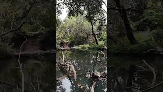 Kilcoy Creek dji avata2 dronefootage [upl. by Elirpa]