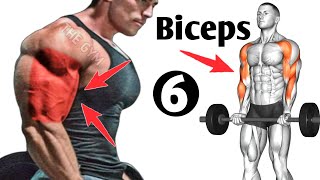 6 Bigger Biceps Exercises At Gym  Biceps Workout [upl. by Benedikt]