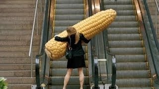 Funniest Escalator Fails February 2013 [upl. by Cirderf938]