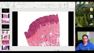 Histology of the Epithelial tissue part 3 [upl. by Asia]