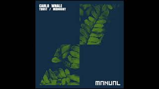 Carlo Whale  Midnight [upl. by Sonya]