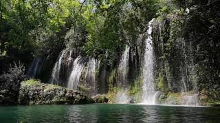 Relaxe Wasserfall im grünen Sehr schön anzusehen [upl. by Atews]