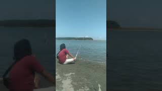 mancing mania hiburan hobymancing [upl. by Croix827]