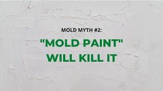 Mold Myth 2 Painting Over Mold With quotMold Paintquot Will Kill It [upl. by Yelnik]