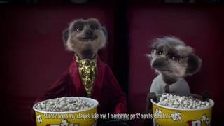 Compare the Meerkat  Advert 71 [upl. by Eirffej]