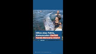 Mitos atau Fakta Kemunculan Oarfish Tanda Bencana Alam [upl. by Sully263]